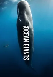 追踪海洋巨兽海报