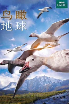 鸟瞰地球