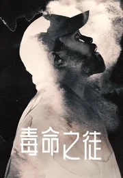 毒窃之徒海报
