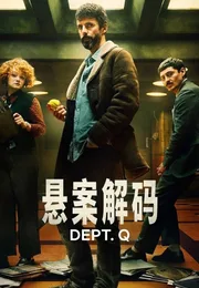 悬案解码海报
